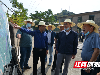 红网：桂阳县泗洲山抽水蓄能项目预可行性研究报告通过审查