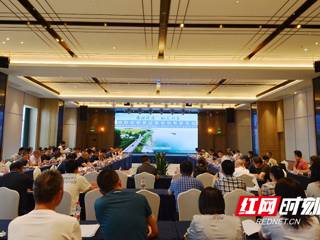 红网时刻：洞庭湖区重点垸堤防加固一期工程初步设计报告顺利通过审查