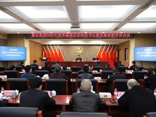 湘水集团召开2022年度党组织书记抓党建述职评议会